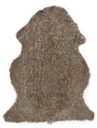 Lampaatalja, sahara, lyhytkarvainen , Skinnwille